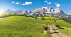Tirol